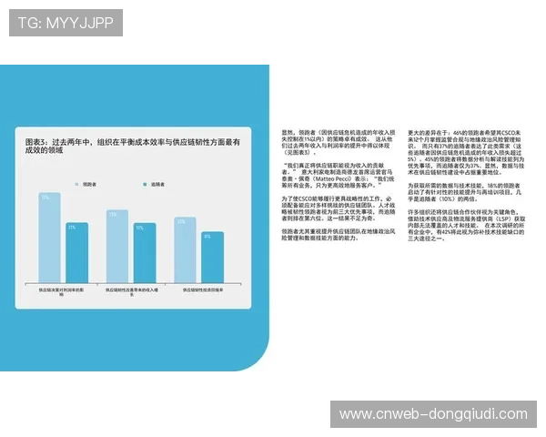 体育产业供应链韧性提升 本土化配套能力增强
